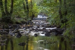 Cannop Brook Reflections