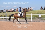 BPP_1634