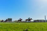 220426-Race 4-Borjina-0705