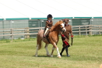 SBM_05268