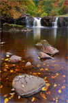 Water and Rocks