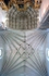 Nave & sanctuary vaulting