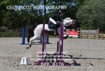 BPP_8176