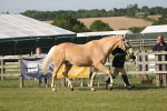 SBM_10460