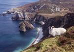 The View Over Glenlough Bay