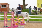 Cls 2 Pony British Novice & Open portfolio