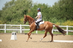 SBM_008905