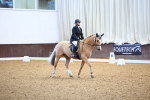 SBM_003711