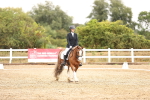 SBM_000995
