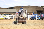 SBM_003378