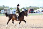 SBM_08923