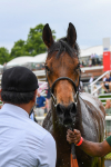 170623-Race 3-Quickthorn-0506
