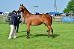 SBM_00973