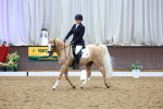 SBM_004285