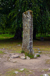 Standing Stones at Clava Cairns - DSC_8248_00036