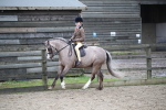 SBM_005953