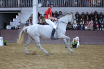 SBM_003326