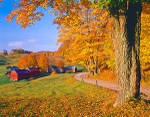 Istock #17543604