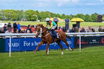 120526-Race 1-Lovers Leap-7174