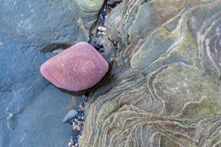 Vermiculations portfolio