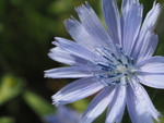 P92500150027