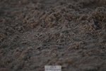 260908-184856-00806