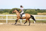 SBM_000260