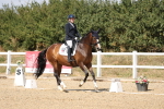 SBM_014650