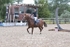 BPP_8199
