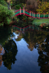 Biddulph Grange Gardens, Cheshire
