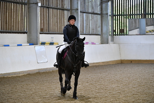 Indoor SJ & XC Jumps