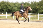 SBM_007354