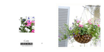 012 Hanging Basket
