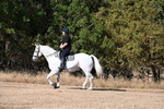 WJ6_7008