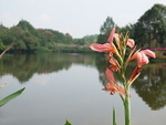 CHINA__0108