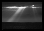 Ray of Sunshine.KJS_8459 BW