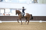 SBM_012304