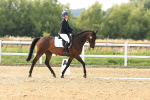 SBM_000672