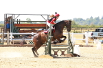 SBM_002381
