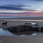 Dawn patrol, Bamburgh beach, Northumberland