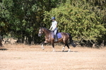 WJ6_7818