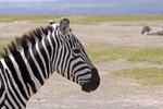IMG_0596 Nakuru