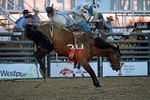 3HRodeo8-5-24_CFD_3HR-YUMA- 0772_
