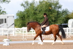 SBM_00335