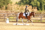 SBM_000388