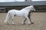 SBM_004020