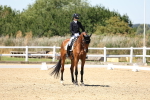 SBM_001770