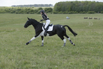 BVHT 140517  IXC -886