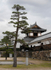Japan Hiroshima Japan Castle building and tree