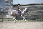 SBM_007935